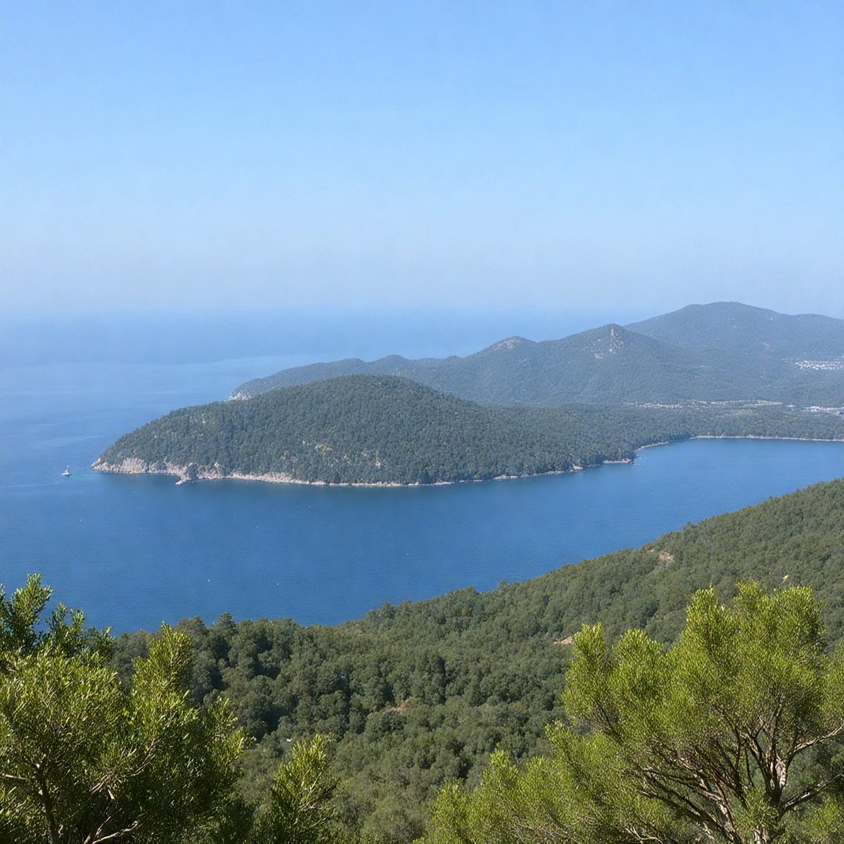 64594863-bf00-4036-98be-087b34e9b73b-turkish-forests-island-42456e_250319182533_Filename Text 2_04064_Filename Text 3_result.jpg